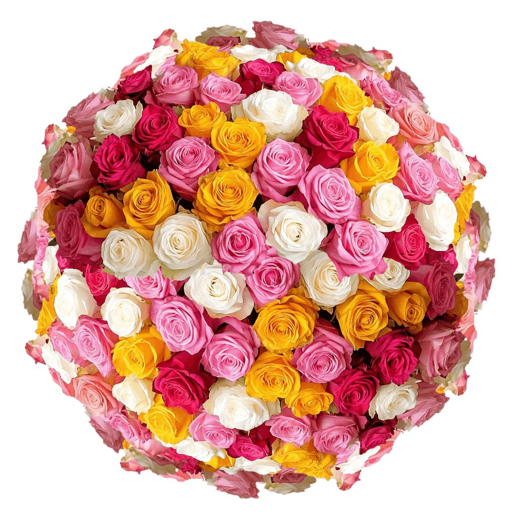 Premium Bulk Assorted Roses 60–70cm – Choose Your Colors- Long-Stem Wholesale Mix for Florists & Events