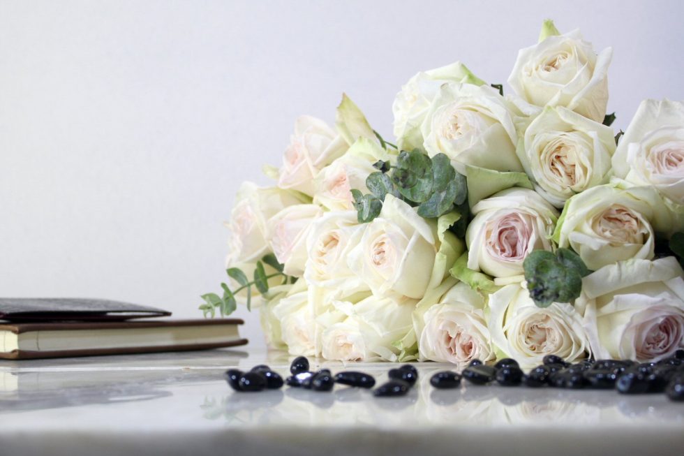 White – O’Hara Garden Rose