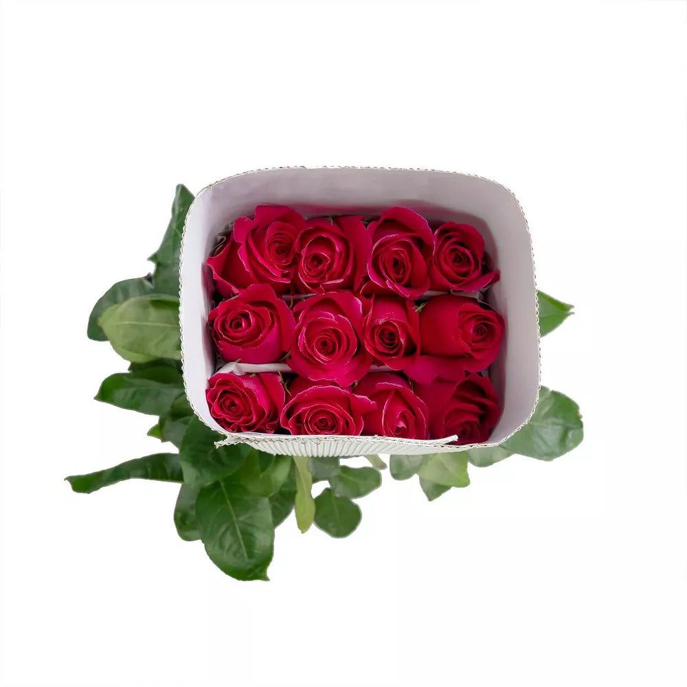 Premium Bulk Hot Pink Roses 60–70cm – Long-Stem Wholesale Flowers for Weddings & Florists
