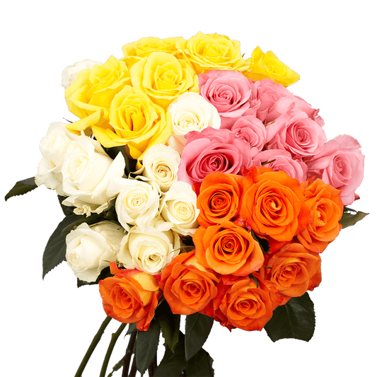 🎨 Bulk Assorted Roses 60–70cm - Choose Your Colors – Long-Stem Wholesale Mixed Colors for Florists & Events