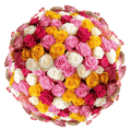 Premium Bulk Assorted Roses 60–70cm – Choose Your Colors- Long-Stem Wholesale Mix for Florists & Events