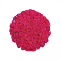 Premium Bulk Hot Pink Roses 60–70cm – Long-Stem Wholesale Flowers for Weddings & Florists