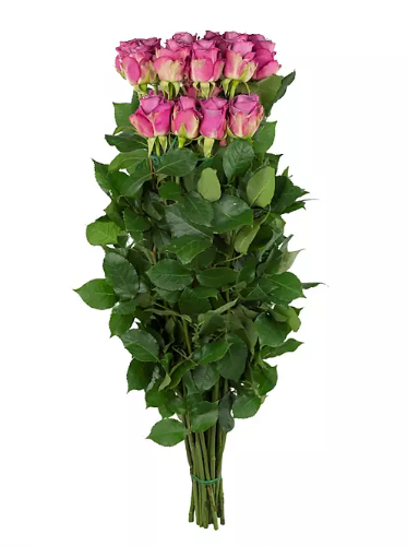 💜 Bulk Lavender Roses 50–60cm – Long-Stem Wholesale Flowers for Florists & Events