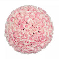 Premium Bulk Light Pink Roses 60–70cm – Long-Stem Wholesale for Weddings & Luxury Florists