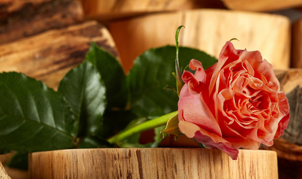 Orange – Glam Garden Rose