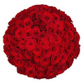 Premium Bulk Red Roses 60–70cm – Long-Stem Wholesale for Weddings & Florists