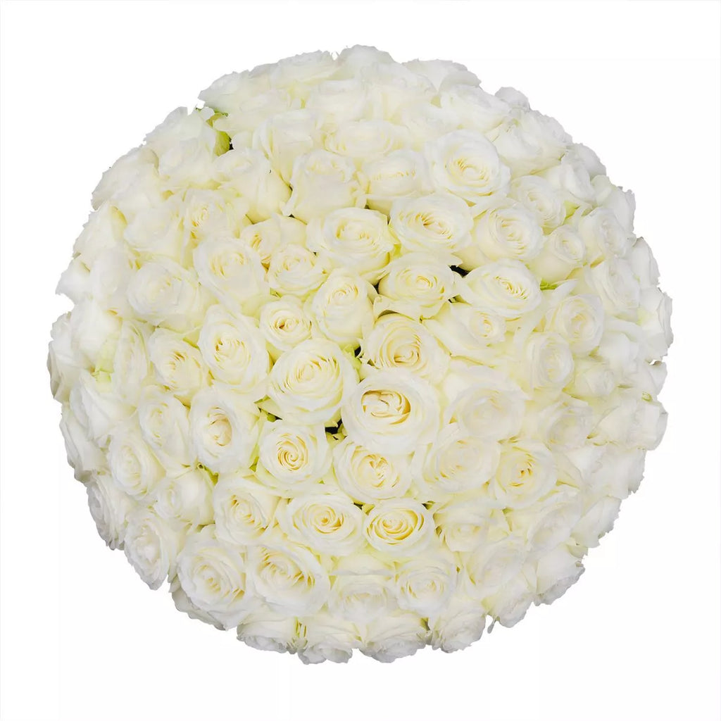 Premium Bulk White Roses 60–70cm – Long-Stem Wholesale for Weddings & Florists