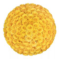 Premium Bulk Yellow Roses 60–70cm – Long-Stem Wholesale Flowers for Weddings & Florists